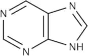 Purine