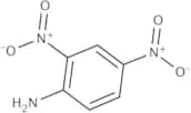 2,4-Dinitroaniline