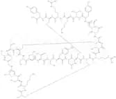 ω-Conotoxin GVIA