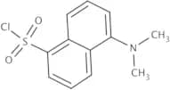 Dansyl chloride, 99%