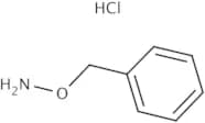 O-Benzylhydroxylamine hydrochloride
