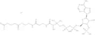 Glutaryl coenzyme A lithium salt