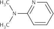 2-Dimethylaminopyridine