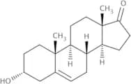 Dehydroandrosterone