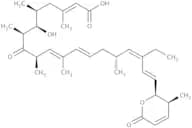Leptomycin B