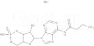 N6-Monobutyryladenosine 3′:5′-cyclic monophosphate sodium salt