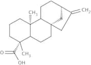 Kaurenoic acid