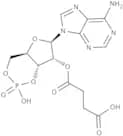 2′-O-Monosuccinyladenosine 3′:5′-cyclic monophosphate