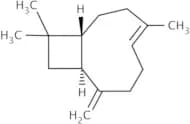 (-)-trans-Caryophyllene