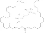 L-α-Phosphatidylcholine, 90%