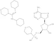 Adenosine 5′-monophosphomorpholidate 4-morpholine-N,N′-dicyclohexylcarboxamidine salt