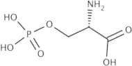 O-Phospho-L-serine