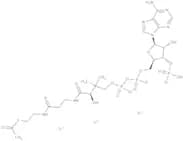 Acetyl coenzyme A lithium salt