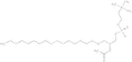 β-Acetyl-γ-O-hexadecyl-L-α-phosphatidylcholine