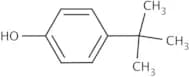 4-tert-Butylphenol