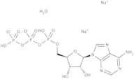 Adenosine  5''-triphosphate disodium salt hydrate