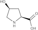 trans-4-Hydroxy-L-proline, GlenCell™, suitable for cell culture