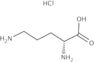 D-Ornithine monohydrochloride