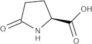 L-Pyroglutamic acid
