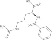 Bz-Arg-OH