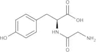 Gly-Tyr