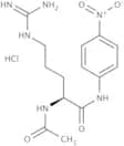 Nα-Acetyl-L-arginine 4-nitroanilide hydrochloride