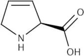 3,4-Dehydro-L-prolin