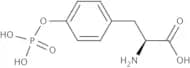 O-Phospho-L-tyrosine