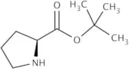 L-Proline tert-butyl ester
