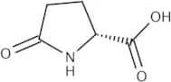 (R)-(+)-2-Pyrrolidone-5-carboxylic acid