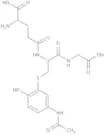 Acetaminophen glutathione disodium salt
