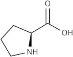 L-Proline, 2.5M solution