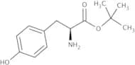 L-Tyrosine tert-butyl ester