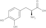 3,4-Dihydroxy-L-phenylalanine