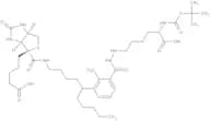 N2-t-Boc-N6-(biotinamido-6-N-caproylamido)lysine