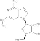 2-Hydrazinoadenosine