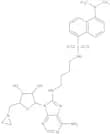 8-Amino[1”-(N”-dansyl)-4”-aminobutyl]-5’-(1-aziridinyl)-5’-deoxy adenosine