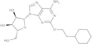 2-(2-Cyclohexylethoxy)adenosine