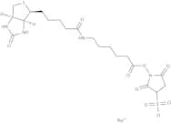 2''-Deoxy-5''-O-DMT-N6-methyl-8-oxoadenosine 3''-CE phosphoramidite