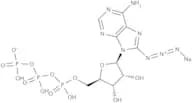 8-Azidoadenosine 5''-triphosphate sodium salt - 10mM aqueous solution
