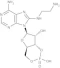 8-(2-Aminoethyl)aminoadenosine-3'',5''-cyclic monophosphate