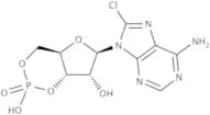 8-Chloroadenosine-cyclic-3'',5''-monophosphate dihydrate
