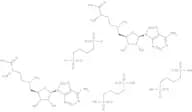 S-Adenosyl-L-methionine 1,4-butanedisulfonate