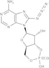 8-Azidoadenosine 3'',5''-cyclic monophosphosphate free acid