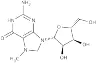N7-Methylguanosine