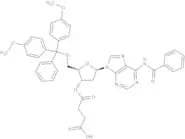 N6-Benzoyl-2''-deoxy-5''-O-DMT-adenosine 3''-O-succinate