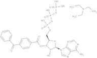 2''(3'')-O-(4-Benzoylbenzoyl)adenosine-5''-triphosphate triethylammonium salt