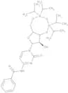 N4-Benzoyl-3'',5''-O-(1,1,3,3-tetraisopropyl-1,3-disiloxanediyl)cytidine