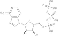 2''-Deoxy-2''-fluoroadenosine-5''-triphosphate