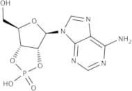 Adenosine 2'',3''-cyclic phosphate triethylammonium salt